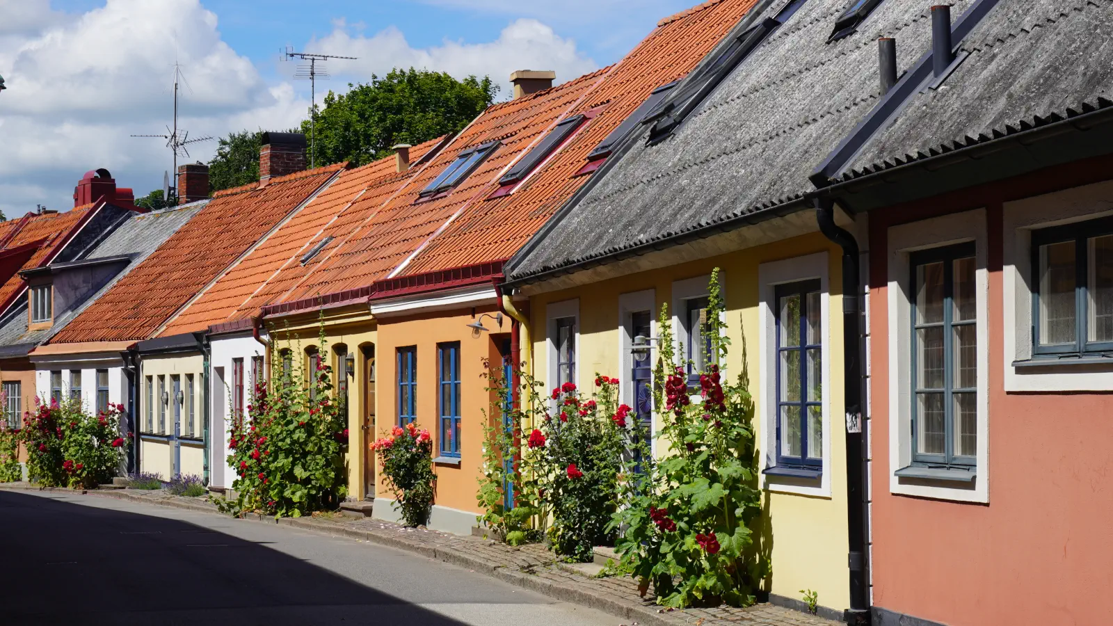 Kolorowe alejki Ystad są wyłożone kolorowymi malwami.
